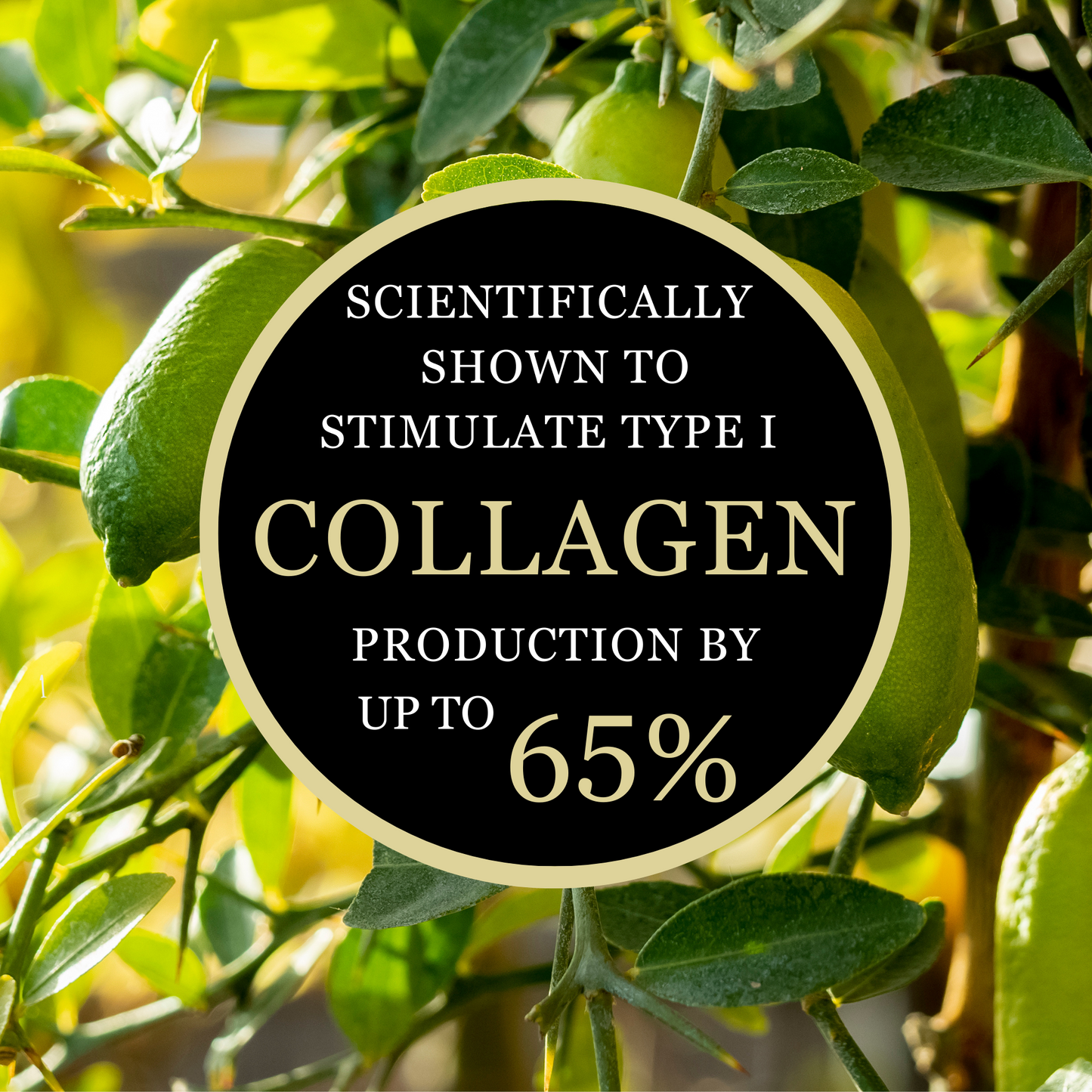 Antipodes Lime Caviar Collagen Rich Firming Cream 60ml. collagen boosting cream