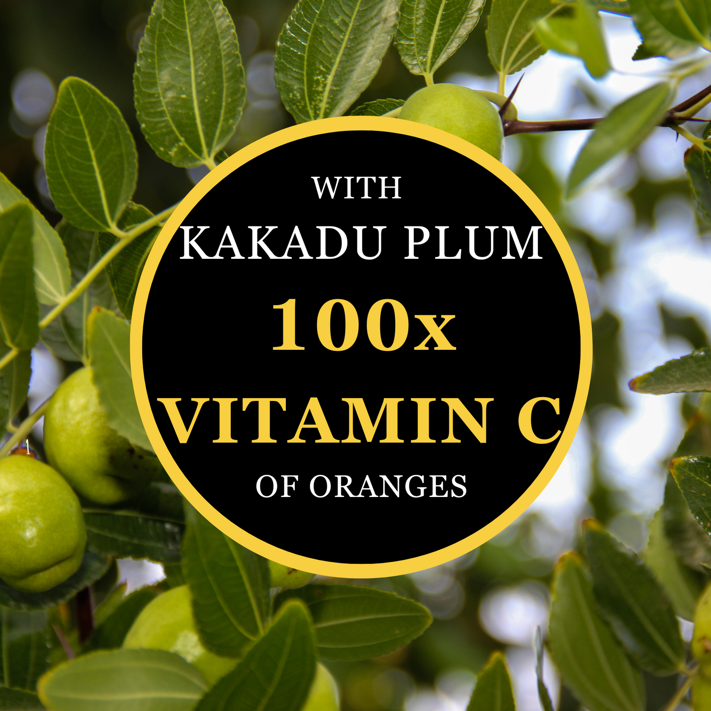 Antipodes Glow Vitamin C Brightening Serum 30ml Kakadu plum ingredient benefits