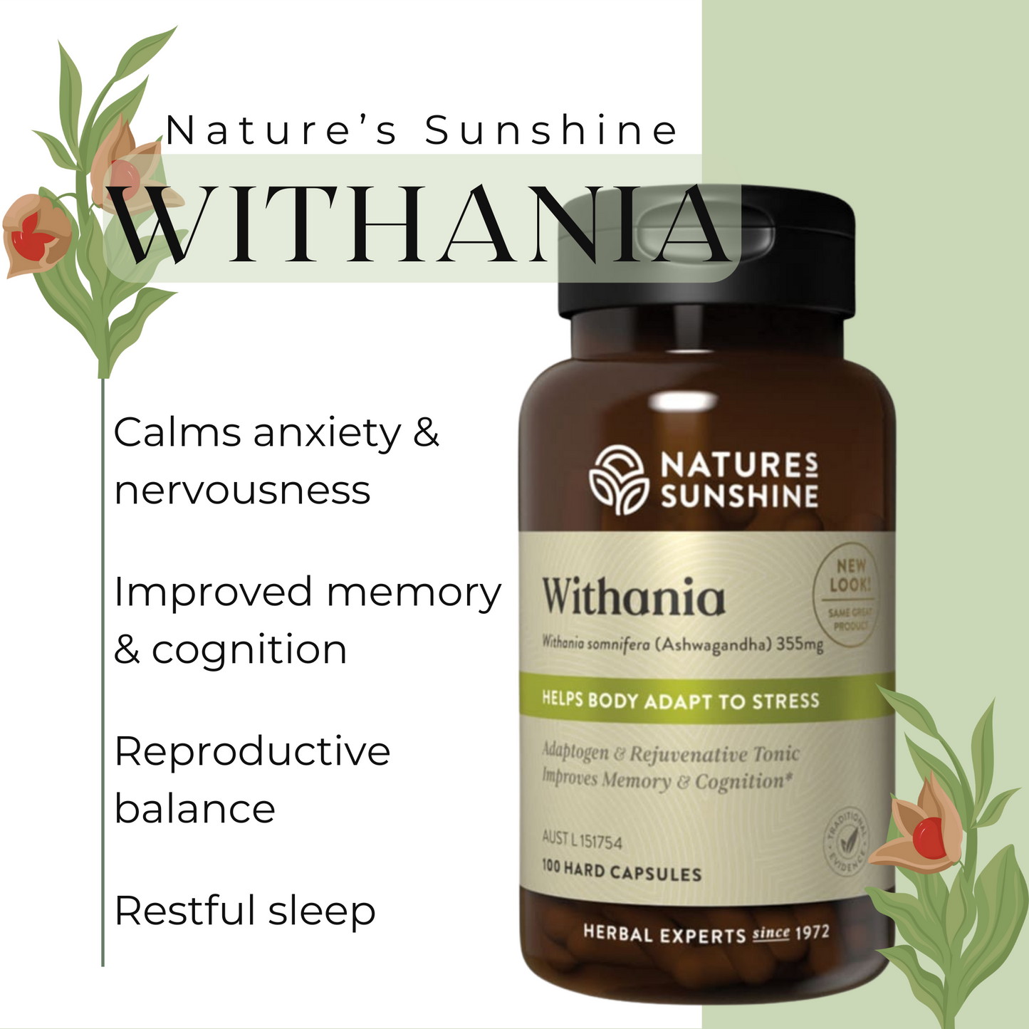 Nature's Sunshine Withania infographic