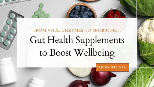 From Vital Enzymes to Probiotics | Gut Health Supplements to Boost Wellbeing